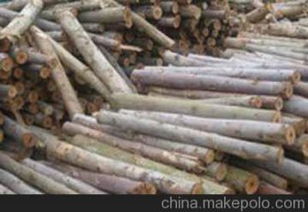 木材收购供应商,价格,木材收购批发市场 